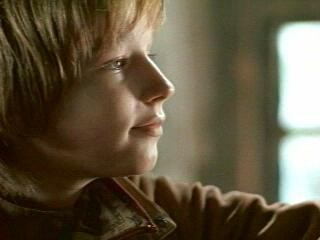 A Dog Of Flanders Fotoğrafı