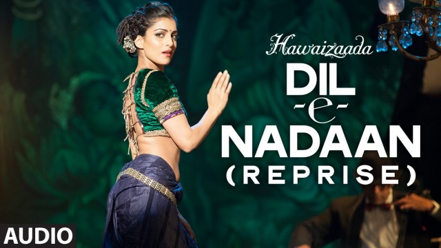 Hawaizaada Fotoğrafı