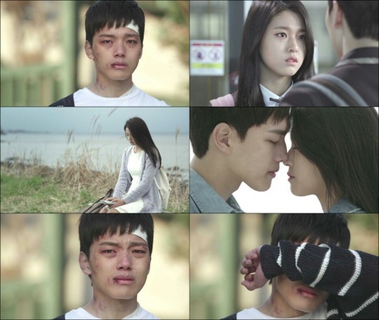 Orange Marmalade Fotoğrafı