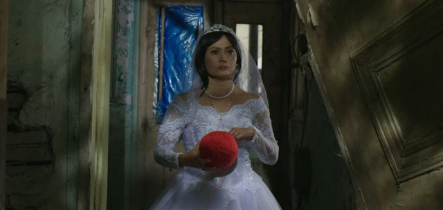 Misafir Fotoğrafı