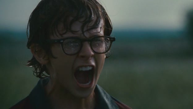 Bahçemdeki Ateş Böcekleri Fotoğrafı