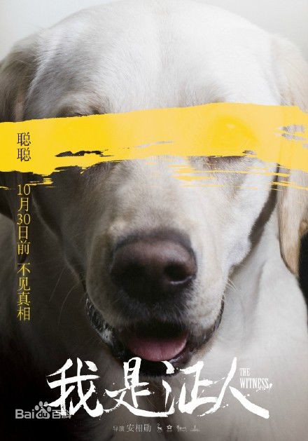 The Witness Fotoğrafı