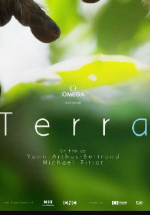 Terra Fotoğrafları 1