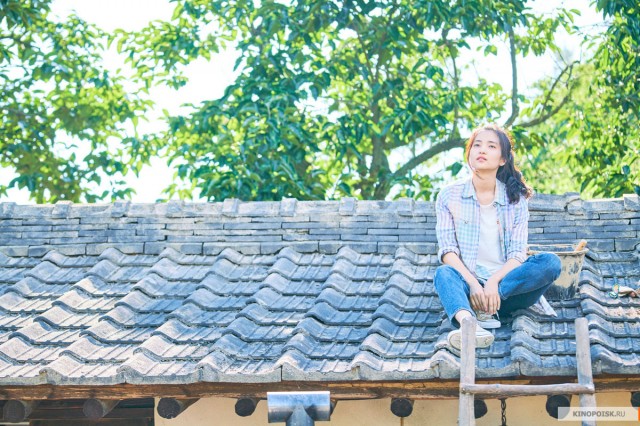 Little Forest Fotoğrafı