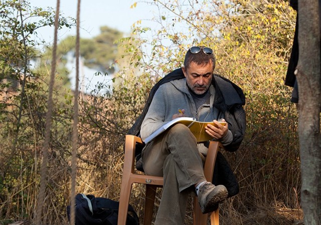 Ahlat Ağacı Fotoğrafı