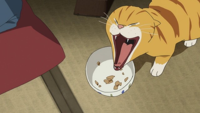 Fune wo Amu Fotoğrafı