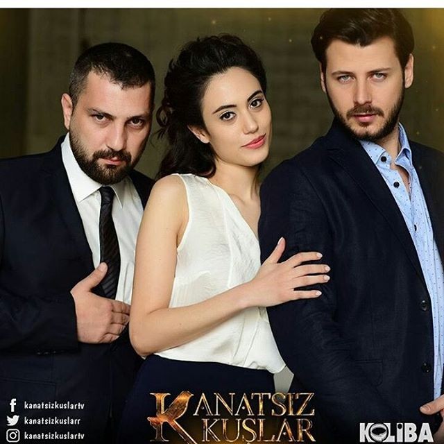 Kanatsız Kuşlar Fotoğrafları 3