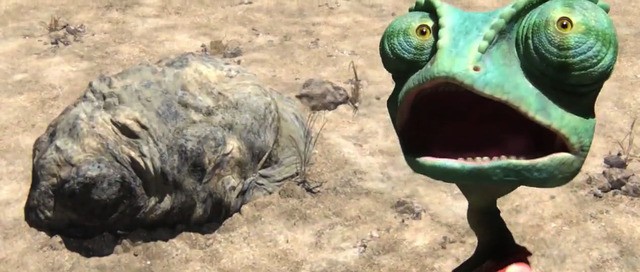 Rango Fotoğrafı