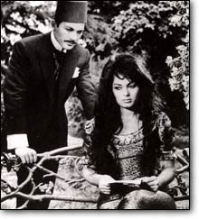 Çalıkuşu Fotoğrafı