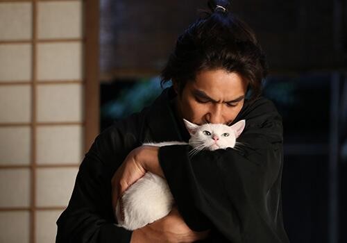 Neko Ninja Fotoğrafı