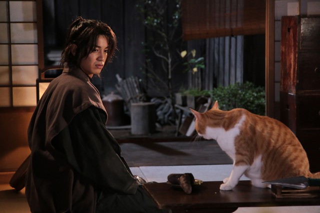 Neko Ninja Fotoğrafı
