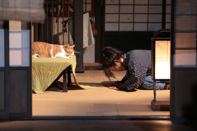 Neko Ninja Fotoğrafı