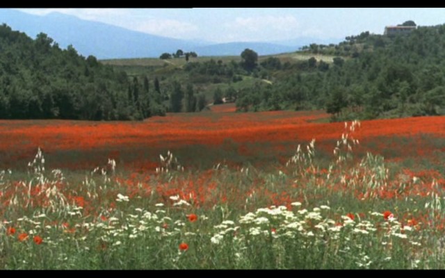 Ay ve Güneş Kardeşler Fotoğrafları 14