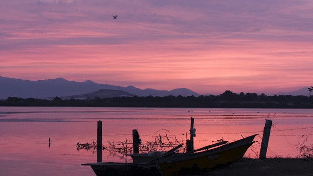 Edna fotoğrafı Edna fotoğrafı