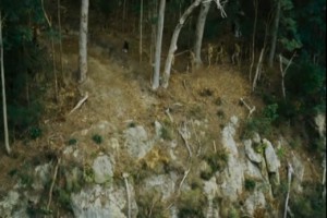 Kokoda Fotoğrafı