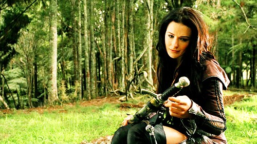 Legend Of The Seeker Fotoğrafı