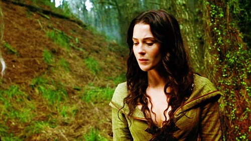 Legend Of The Seeker Fotoğrafı
