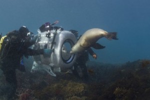 Under The Sea 3d Fotoğrafları 1