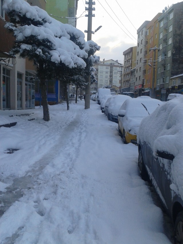 Alacakaranlık Efsanesi: Yeni Ay Fotoğrafları 1239