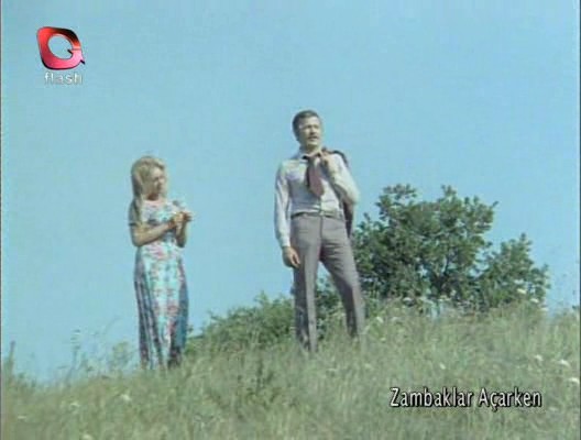 Zambaklar Açarken Fotoğrafı