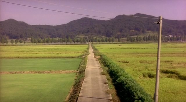 Kırık Kalp Kütüphanesi Fotoğrafı