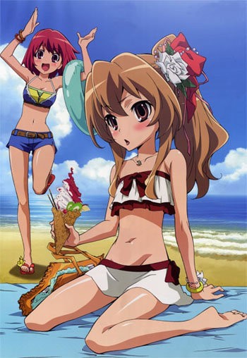 Toradora! Fotoğrafı