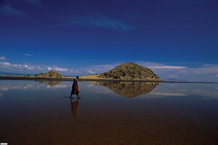 Pembe Kanatlar: Flamingolarin Gizemi Fotoğrafı
