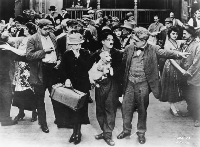 A Dog's Life Fotoğrafı