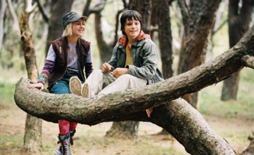 Terabithia Köprüsü Fotoğrafları 19