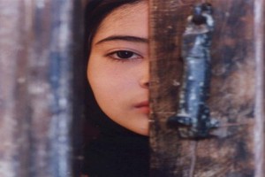 Baran Fotoğrafı