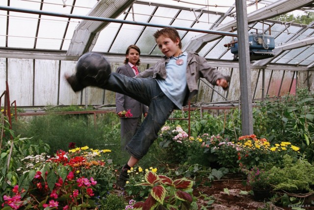 Çılgın Futbol Takımı  3 Fotoğrafı