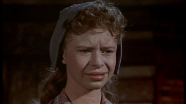 Old Yeller Fotoğrafı