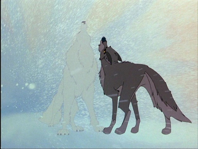 Balto Fotoğrafı