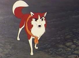Balto Fotoğrafı