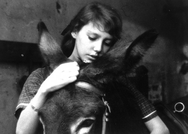 Rastgele Balthazar Fotoğrafı