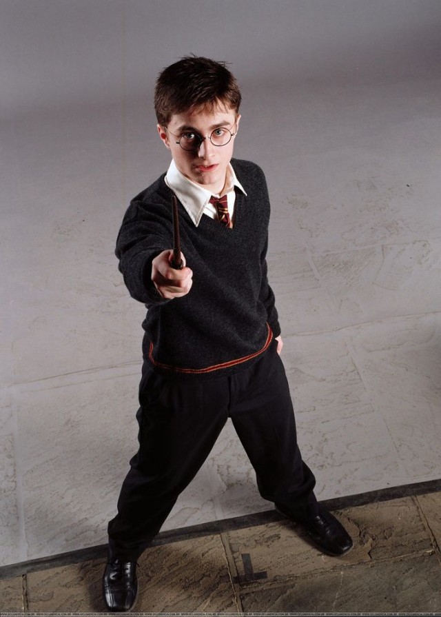 Harry Potter ve Zümrüdüanka Yoldaşlığı Fotoğrafı