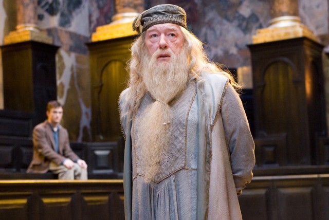 Harry Potter ve Zümrüdüanka Yoldaşlığı Fotoğrafı