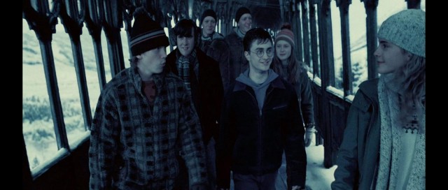 Harry Potter ve Zümrüdüanka Yoldaşlığı Fotoğrafları 91