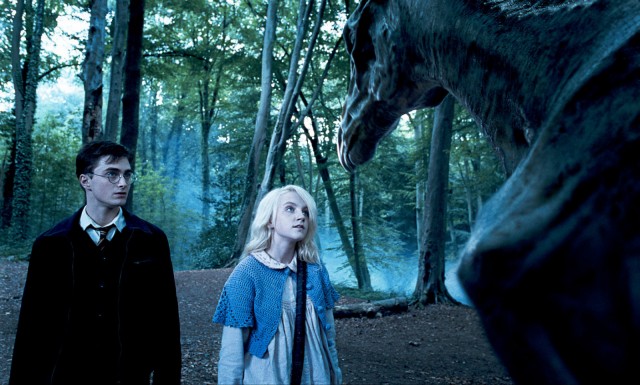 Harry Potter ve Zümrüdüanka Yoldaşlığı Fotoğrafı