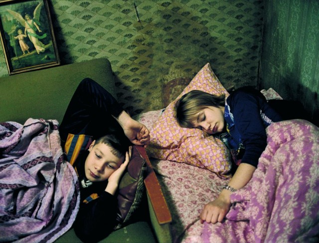 Daima Lilya Fotoğrafı