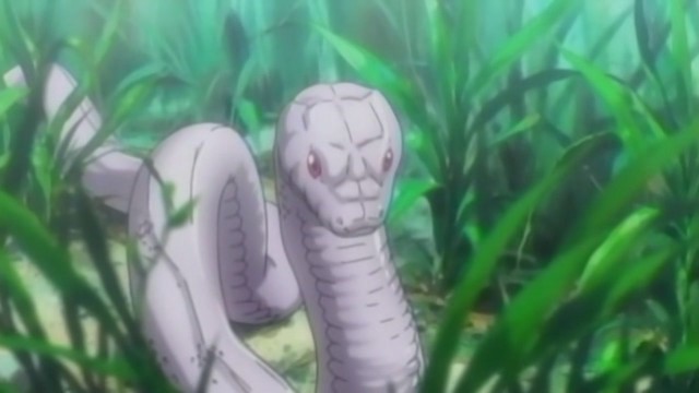 Basilisk Fotoğrafı