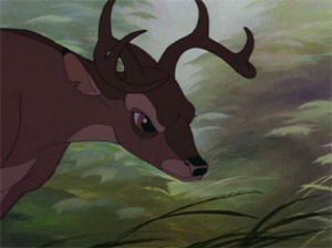 Bambi Fotoğrafları 12