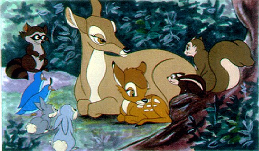 Bambi Fotoğrafı