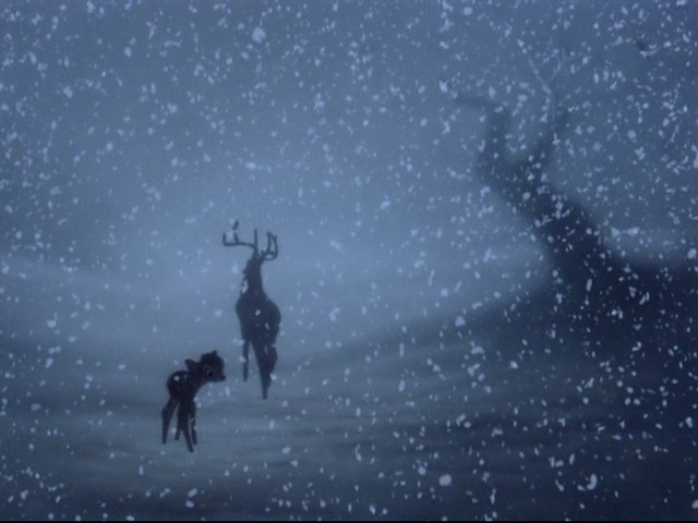 Bambi Fotoğrafı