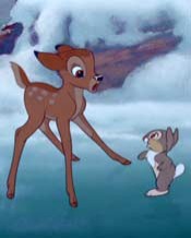 Bambi Fotoğrafları 25