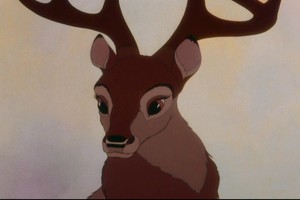 Bambi Fotoğrafı