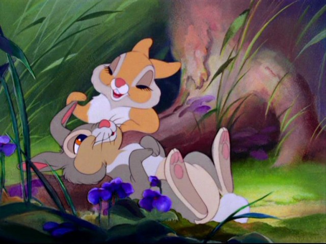 Bambi Fotoğrafı