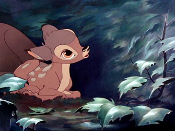 Bambi Fotoğrafı