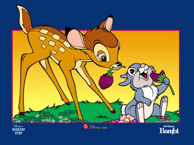 Bambi Fotoğrafı