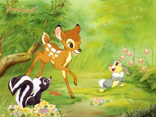 Bambi Fotoğrafları 54